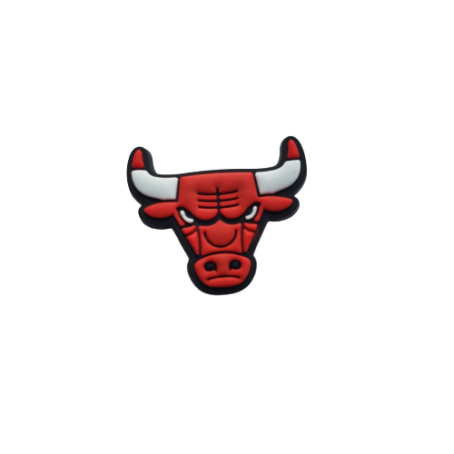 Chicago Bulls Logo Charm